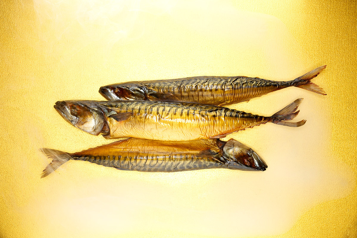 24 goldnsmoke makrele